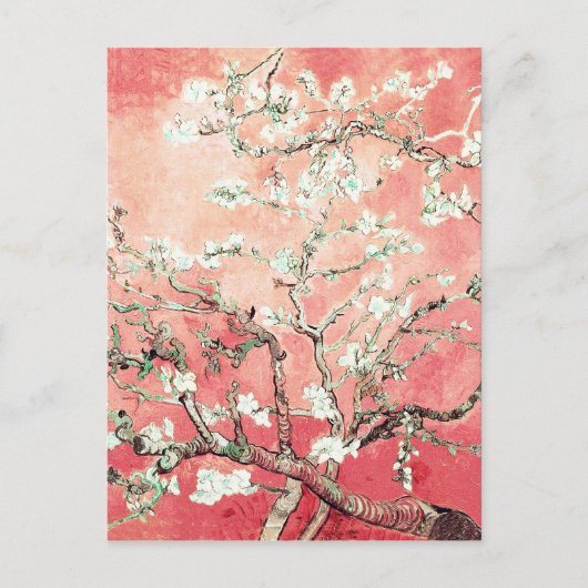 Carte Postale Van Gogh Almond Blossoms Peach (Devant)