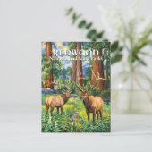 Carte Postale Van Gogh Elk Redwood California Forest Custom Text (Debout devant)