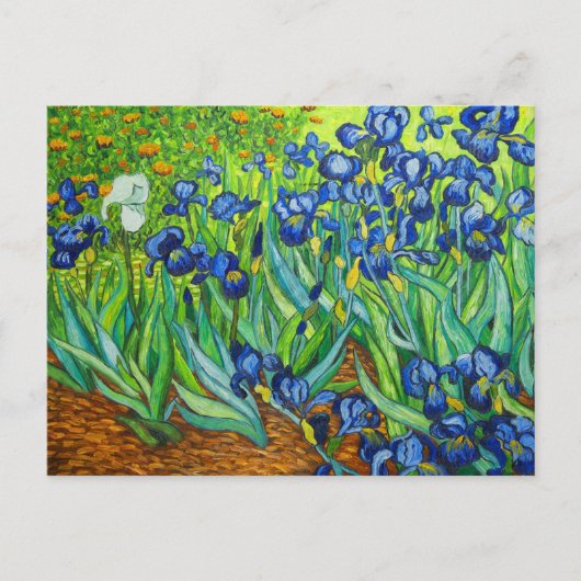 Carte Postale Van Gogh Irises (Devant)