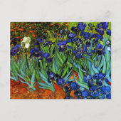 Carte Postale Van Gogh - Irises (Devant)