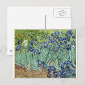 Carte Postale Van Gogh Irises (Devant / Derrière)