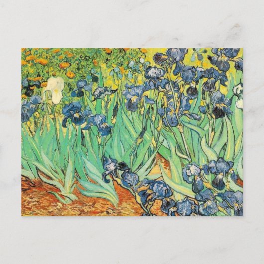Carte Postale Van Gogh Irises (Devant)