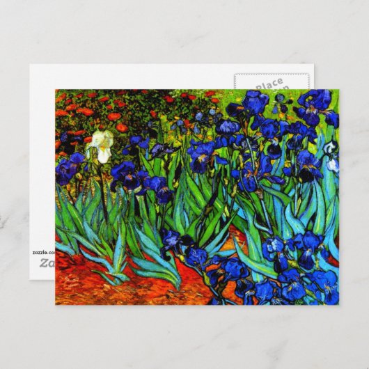Carte Postale Van Gogh - Irises (Devant / Derrière)