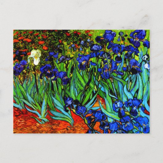 Carte Postale Van Gogh - Irises (Devant)