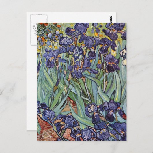 Carte Postale Van Gogh Irises Peinture impressionniste (Devant / Derrière)