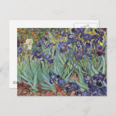 Carte Postale Van Gogh Irises Peinture impressionniste (Devant / Derrière)
