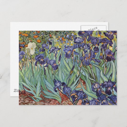Carte Postale Van Gogh Irises Peinture impressionniste (Devant / Derrière)
