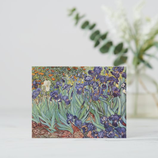 Carte Postale Van Gogh Irises Peinture impressionniste (Debout devant)