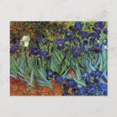 Carte Postale Van Gogh Irises Postcard (Devant)