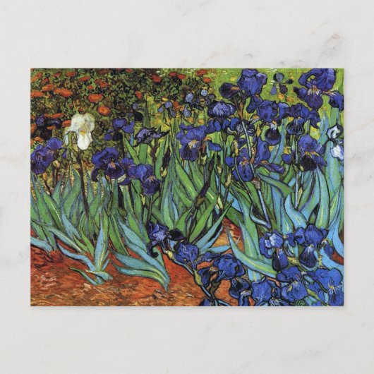 Carte Postale Van Gogh Irises Postcard (Devant)