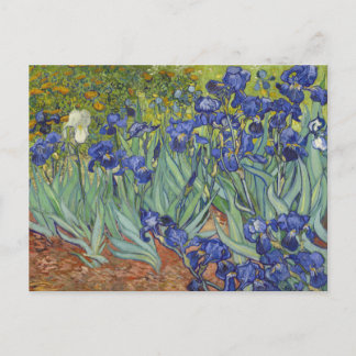 Carte Postale Van Gogh Irises Vintage Art Floral