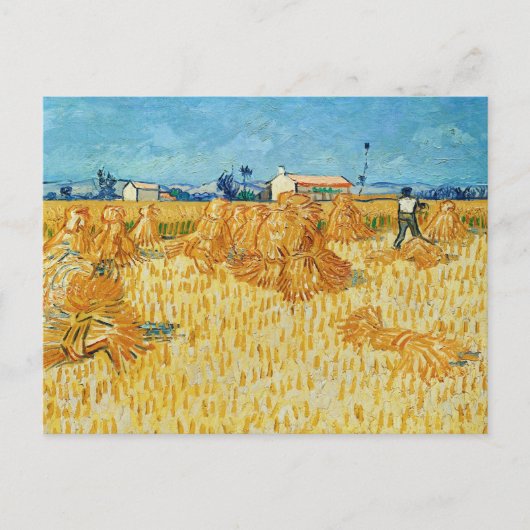 Carte Postale Van Gogh; Moisson en Provence (Devant)