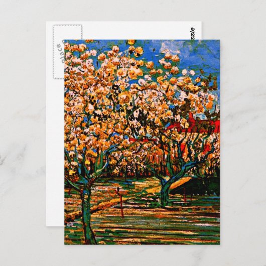 Carte Postale Van Gogh - Orchard à Blossom (Devant / Derrière)