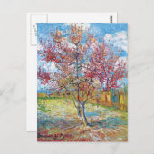 Carte Postale Van Gogh - Peach Trees roses (Devant / Derrière)