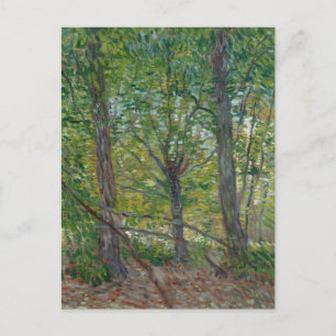 Carte Postale Van Gogh Trees and Underwood(F307) Art