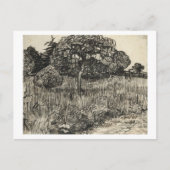 Carte Postale Van Gogh Weeping Tree sur une pelouse (Devant)