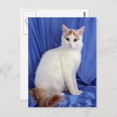 Carte Postale Van turc (Devant / Derrière)