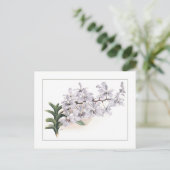 Carte Postale Vanda coerulea (Debout devant)