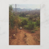 Carte Postale Vang Vieng (Devant)