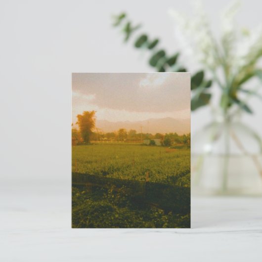 Carte Postale Vang Vieng - Laos (Debout devant)