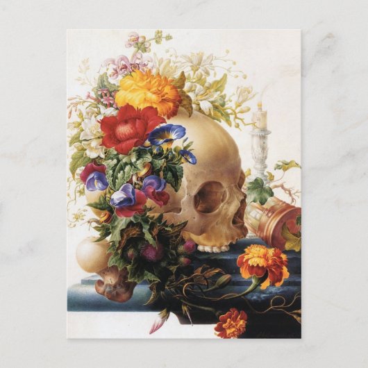 Carte Postale Vanitas - Le crâne (Devant)