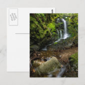 Carte Postale Vanne d'eau luxuriante de Californie (Devant / Derrière)