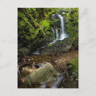 Carte Postale Vanne d'eau luxuriante de Californie