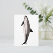 Carte Postale Vaquita (Debout devant)