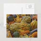 Carte Postale Variété de courge (Devant / Derrière)