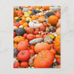 Carte Postale Variété de courge à vendre, Allemagne