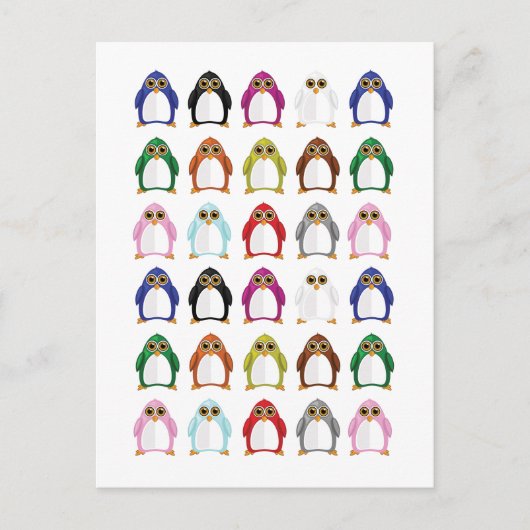 Carte Postale Variété de pingouin (Devant)