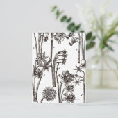 Carte Postale Variétés de Jonquils (Debout devant)