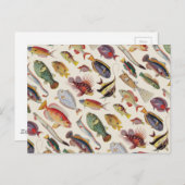 Carte Postale Variétés de poissons (Devant / Derrière)