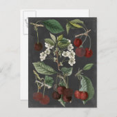 Carte Postale Variétés de verger I (Devant / Derrière)