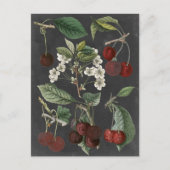 Carte Postale Variétés de verger I (Devant)