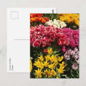 Carte Postale Variety of Tulips (Devant / Derrière)