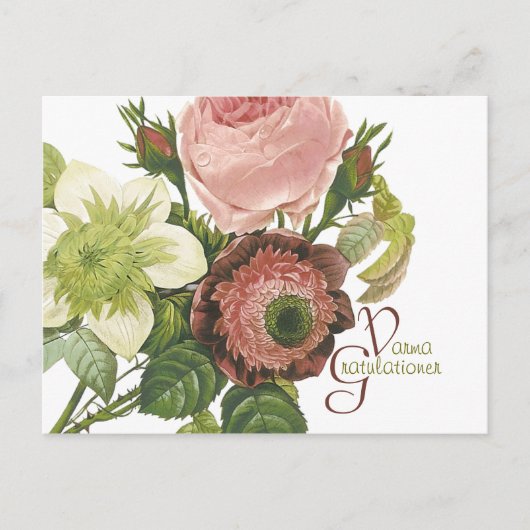 Carte Postale Varma Gratulationer CC0138 (Devant)