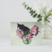 Carte postale Vase Fleurs Kitten (Debout devant)