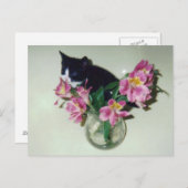 Carte postale Vase Fleurs Kitten (Devant / Derrière)