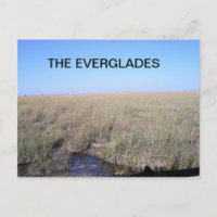 VASTNESS DES EVERGLADES