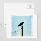 Carte Postale Vautour (Devant / Derrière)