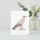 Carte Postale Vautour (Debout devant)