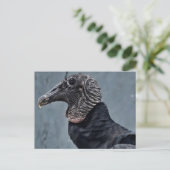 Carte Postale Vautour (Debout devant)