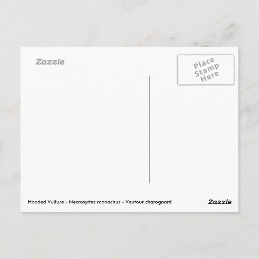 Carte Postale Vautour à capuchon (Dos)