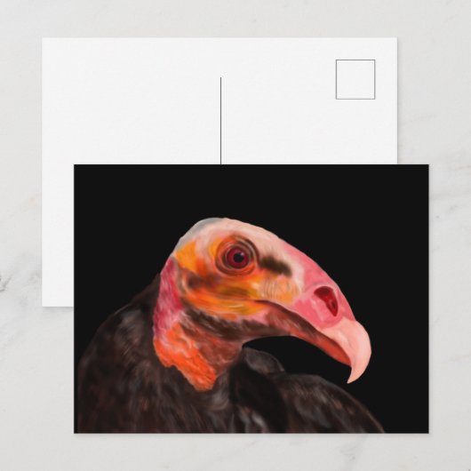 Carte Postale Vautour de Savannah (Devant / Derrière)