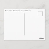 Carte Postale Vautour de Turquie en vol (Dos)