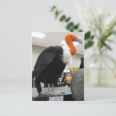 Carte Postale Vautour d'Halloween (Debout devant)