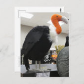 Carte Postale Vautour d'Halloween (Devant / Derrière)