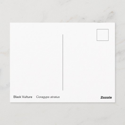 Carte Postale Vautour noir (Dos)
