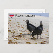 Carte Postale Vautour noir en Punta Cahuita - Costa Rica (Devant / Derrière)